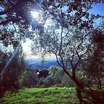 Le Soline פארק נופש