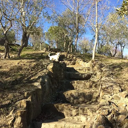 Le Soline منتزه العطل مورلو