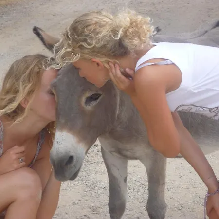 ホリデーパーク Le Soline ムルロ