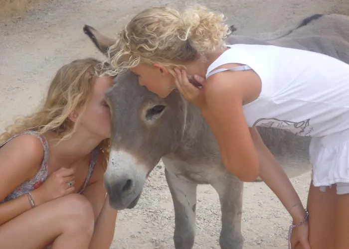 פארק נופש Le Soline מורלו