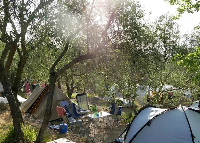 Le Soline מורלו